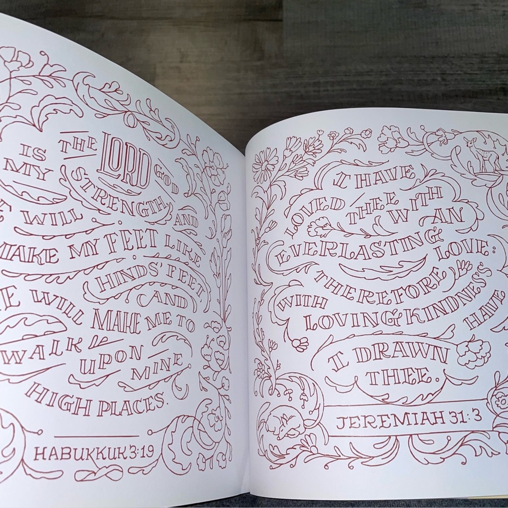 Hinds' Feet on High Places: An Engaging Visual Journey -- Hannah Hurnard NEW - Picture 11 of 11